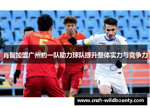 肖智加盟广州豹一队助力球队提升整体实力与竞争力