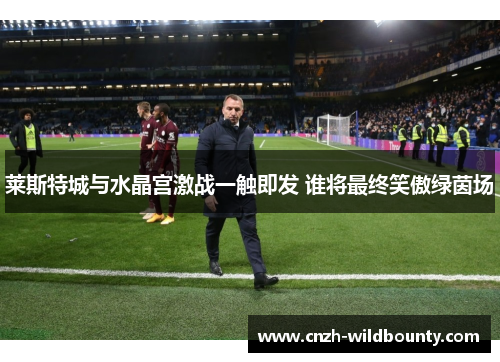 莱斯特城与水晶宫激战一触即发 谁将最终笑傲绿茵场