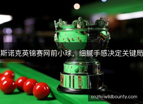 斯诺克英锦赛网前小球，细腻手感决定关键局